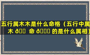 五行属木木是什么命格（五行中属木 🐠 命 🐞 的是什么属相）